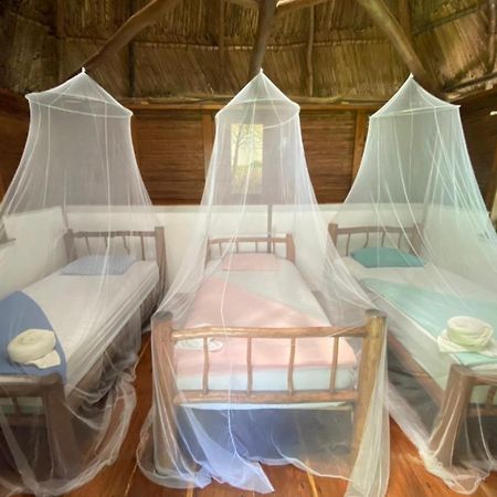 Lívingston Casa De La Iguana 호스텔 외부 사진