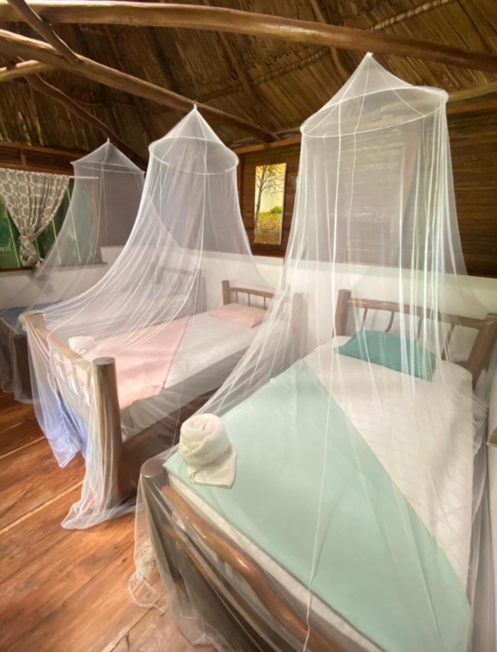 Lívingston Casa De La Iguana 호스텔 외부 사진