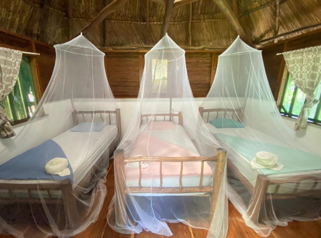 Lívingston Casa De La Iguana 호스텔 외부 사진